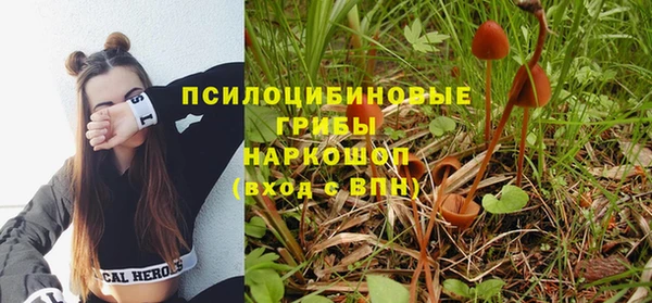 эйфоретик Абаза