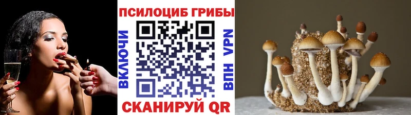Галлюциногенные грибы MAGIC MUSHROOMS  Ярославль 